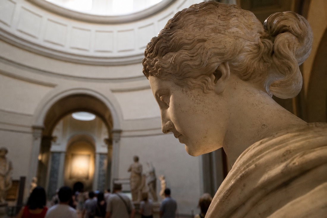 Profile view of a marble statue's head and shoulder against a pale rotunda wall with soft natural light from above, Florence museum interior